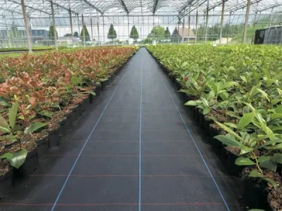 BTT Agrotextiles