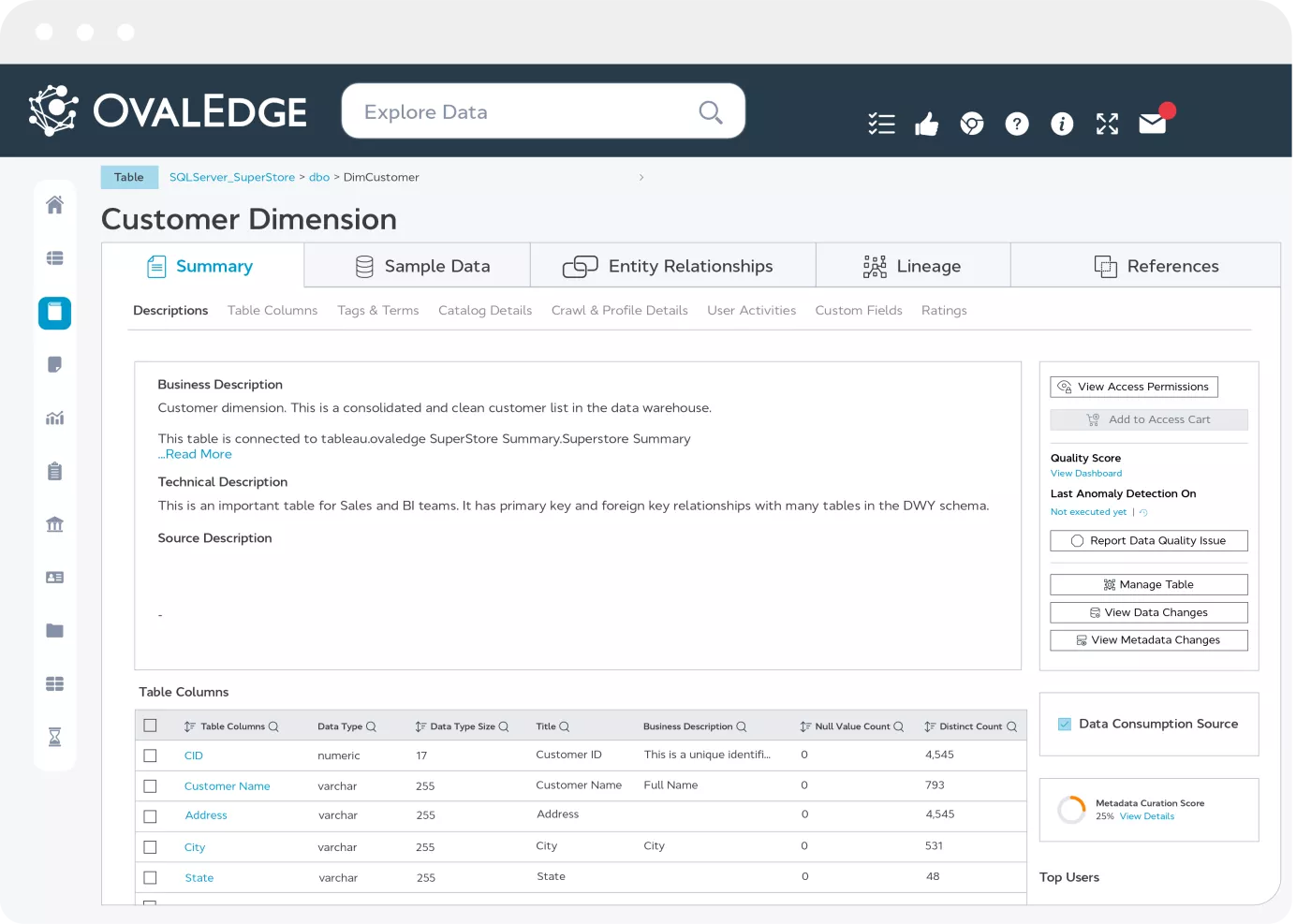 OvalEdge Screenshot Customer Dim